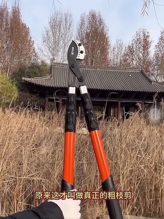 日本原装进口粗枝剪大白鲨高枝剪子大力剪园林果树强力伸缩大剪刀#伸缩大剪刀 #园林剪刀修枝剪
