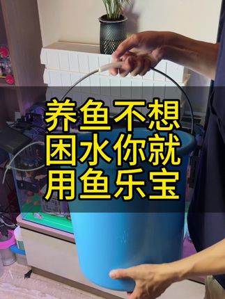 每次换水鱼总是趴缸,挂掉,那是你的自来水氯气含量太高,换水的时候可以加鱼乐宝,能够快速去除自来水中对鱼有害的余氯!#养鱼日记 #鱼乐宝 #水族用品 #新手养鱼 #观赏鱼 @DOU+小助手
