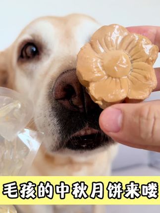 鲜美可口,还有肉汁的鲜美小月饼~快给毛孩子带回去尝尝吧!#宠物手工零食 #宠物烘焙 #宠物月饼