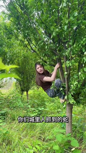 厂里抓到的蛇,不要老往我们乡下放生,搞得好像我们乡下人不怕蛇一样
然后雪清又往城里的大医院送,搞得好像我们乡下人有九条命一样