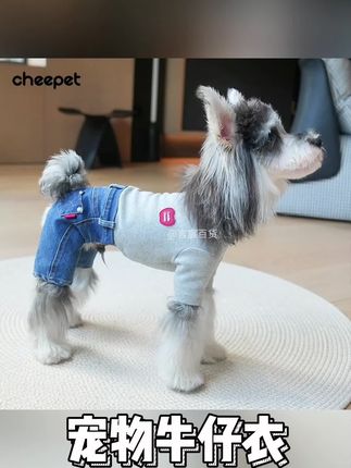 cheepet/趣派宠物衣服秋冬经典牛仔拼接两腿打底衫#宠物衣服 #宠物牛仔衣 #狗狗衣服 #狗狗衣服推荐 #狗狗衣服秋冬款