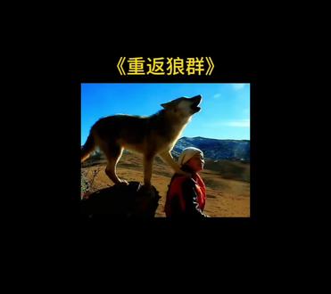 #格林 #狼王格林 爱的本来面貌 毫无保留 不问归期 超越人性 近乎本能 我们在人间纯粹 却往往再狼得眼睛里才看到真爱的倒影 不是占有是成全,不是缠绕是守望,不是我需要你,是我愿意为你保留一片草原