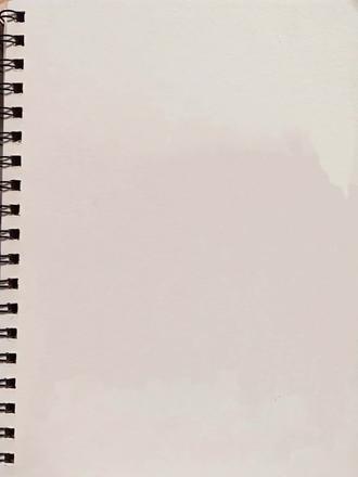 #12生肖 #一目了然 #绘画 #铅笔 #临摹 🐭🐮🐯🐰🐉🐍🐴🐏🐒🐓🐕🐷