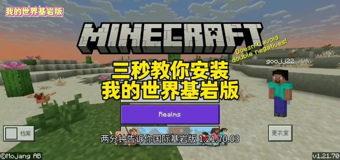 《王哥爱玩》我的世界基岩版+国际版