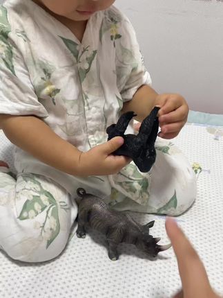 #动物百科 #小朋友玩具 #萌宠萌宝 #好奇宝宝 #萌宠嗨玩季