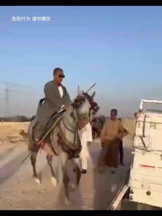 啄木鸟百搭厚底休运动鞋女2025春新款小众设计感小白鞋 每个不曾起舞的日子,都是对生命的辜负 ——尼采