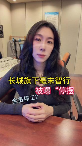 长城旗下毫末智行被爆“停摆”#长城