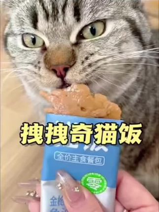 超值猫饭。9.9元30包#萌宠 #美味零食 #吃货猫