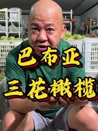 巴布亚 三花橄榄#文玩把件#橄榄核#文玩爱好者