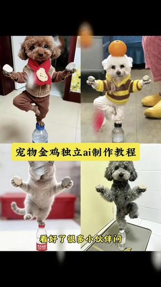 十年功夫无人知宠物版 宠物金鸡独立so制作教程 狗子练武ai生成口令 宠物金鸡独立ai制作 #ai宠物金鸡独立 #剪映