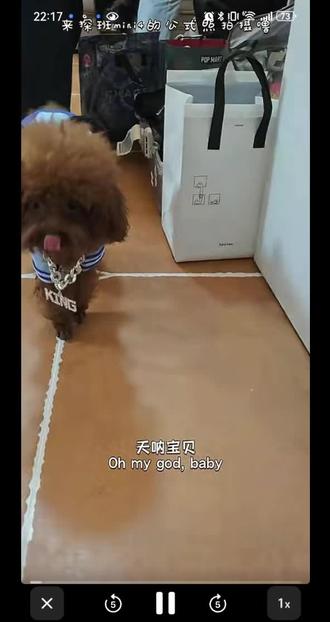 mini4出道日,来自奶味十足nj妈咪的前方报道,毛孩儿们健康快乐成长哦😁😁😁#Desiremini4