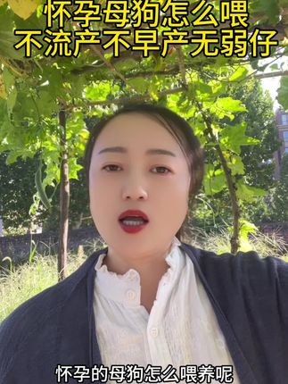 #狗狗#狗#母狗 #母狗生产