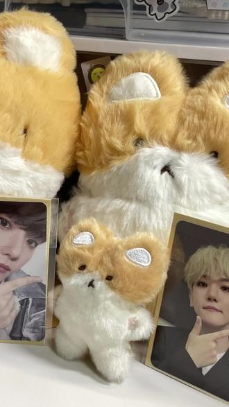 啊啊啊啊啊啊啊啊 历经五个月!终于收到了#开箱 #特来骑 #边伯贤