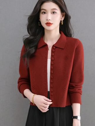 哥弟阿玛施正品秋季新款纯色绣花长袖POLO领针织衫设计感百搭外套#高级感穿搭 #减龄显瘦穿搭 #优雅气质 #穿出自信穿出美丽 #气质女神穿搭
