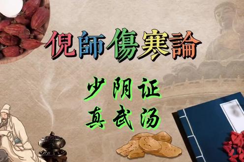 【179】倪海厦-人纪-伤寒论--少阴证_真武汤