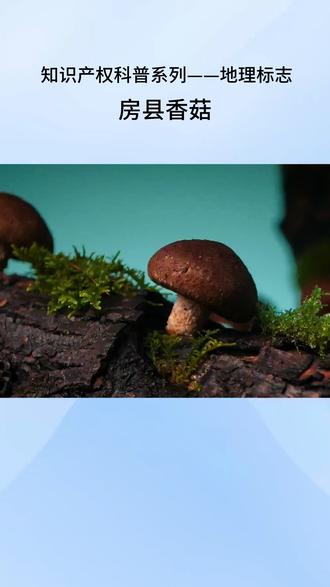 知产科普系列—地理标志—房县香菇