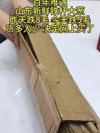 正宗山东铁杆大葱,高白脆甜、不辛苦 、不空心 #大葱 #铁杆大葱 #超便宜超划算 #抖音助农