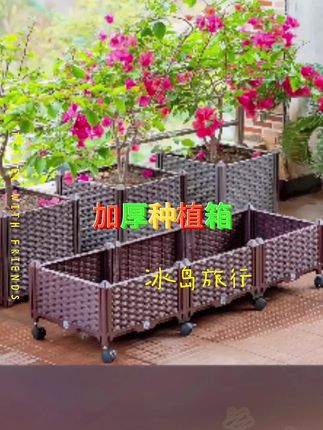 加大加厚加深种植箱 能储水能排水 户外可用十年#养花小知识 #家庭养花 #花卉绿植 #养花 #庭院花园