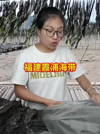 福建海带