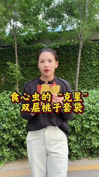 食心虫的“克星”来啦 总是担心桃子被虫子咬,被食心虫钻孔,明明果面好看,个头也大,打开一条虫子,给人看的又恶心又无奈生气,愁都愁死了是不是,不要担心,咱家这款就是针对对这种现象的,双本内红,防水,咱们可以免费邮寄样品#信泉果袋#果袋#桃子种植技术#套袋
