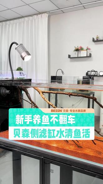 家里养鱼超简单!免费退货无压力 今天是最后一天了!有需要的朋友抓紧时间下单吧~还有运费险哦~#年货节 #年货节好物 #鱼缸 #水族 #主理人的权威年货清单