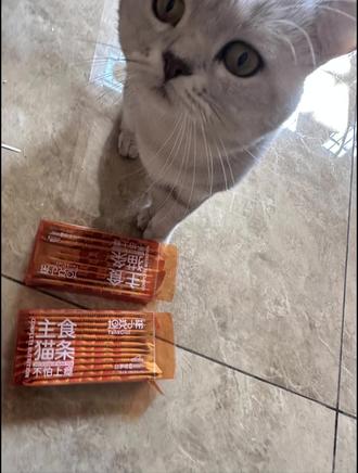 逢人就安利!!不会出错的的主食猫条!
坦克小希在我印象里是zhui早做主食猫条的品牌,第一次尝试购买白茅根,我家猪宝很喜欢吃,在产品研发和品控这方面的专业程度让我很安心
这款全价主食猫条
*配料表干净,0胶质、0诱食剂、0淀粉,不用担心猫咪上瘾!可以放心喂~
肉质紧实细腻,还添加了多种维生素补充营养,很适合用来跟猫咪互动增进感情,高冷小猫立马变贴贴粘猫√#猫咪 #干饭最积极的小猫 #小馋猫 #坦克小希 #主食猫条