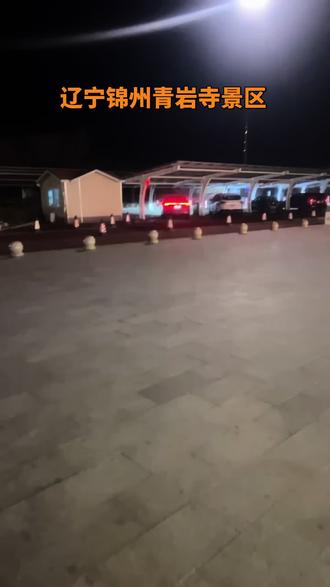 大年初一最美的风景在路上