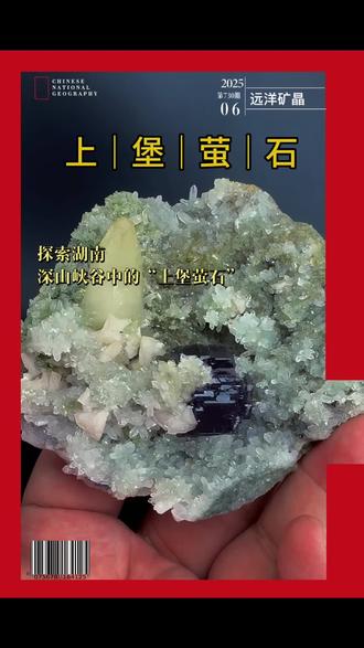 矿友们,今天给大家分享的是,一块来自湖南上堡矿区的自然奇迹——深紫立方体萤石共生标本。
在亿万年的地质演化中,这块标本奇迹般地共生了四种晶体:
立方体深紫萤石,如数字空间般的立体几何;
雪白水晶簇,点缀其间,仿若冰雪晶灵;
扇面形态的白云石以及龙牙般的黄柱方解石挺立于上,像极了一枚时空封印。
每一次转动,都能看到光与晶的交错反应,仿佛大地的语言在诉说远古的故事。
目前上堡萤石已绝矿,这种极品共生标本,未来只会越来越少。
收藏它,就像收藏一段消失的地质记忆。
喜欢这种天然矿物美学的朋友,点个关注,每天带你看懂一个来自地心的宝藏!
#矿物晶体 #强烈推荐 #上堡萤石 #矿物收藏 #矿物爱好者