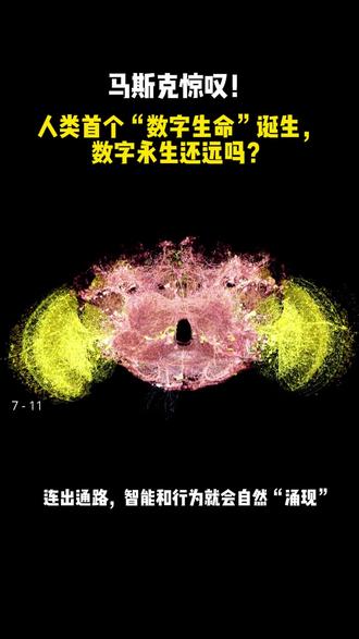 马斯克惊叹!人类首个“数字生命”诞生,赛博永生还远吗? 别盯着AI大模型了!12.5万神经元被1:1上传,果蝇在虚拟世界复活!人类离“数字飞升”还有多远?#数字果蝇 #数字永生 #数字生命 #意识上传 #科普