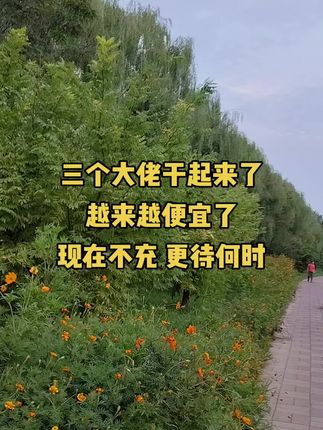 #省钱#超便宜超划算