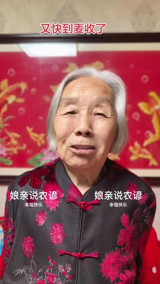 我娘亲这句话是北方农谚,四月芒种麦在前,五月芒种麦在后。
• 四月芒种:芒种落在农历四月 → 节气早、气温升得快 → 麦子在芒种前就收完。
• 五月芒种:芒种落在农历五月 → 节气晚、气温偏低 → 麦子要到芒种后才收割。
今年芒种:6月5日(农历四月二十)
• 属于四月芒种 → 河北、山东一带麦收集中在5月底—6月初,芒种前基本收完。