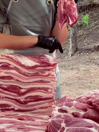 东北粮食猪肉脆骨边胸骨排骨边排骨串装顺丰包邮速冻猪胸骨脆骨#好物推荐🔥# 猪肉脆骨#