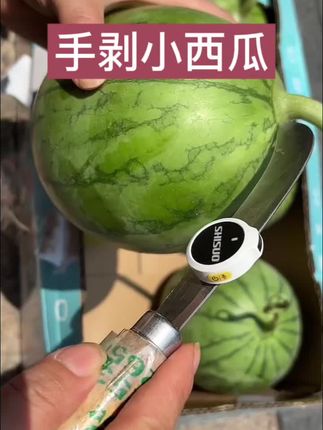 爆甜爆汁超好吃手剥小西瓜,现摘现发超新鲜坏果包赔,口感特别好#手剥小西瓜#糖丸小西瓜#报恩西瓜#三农#水果