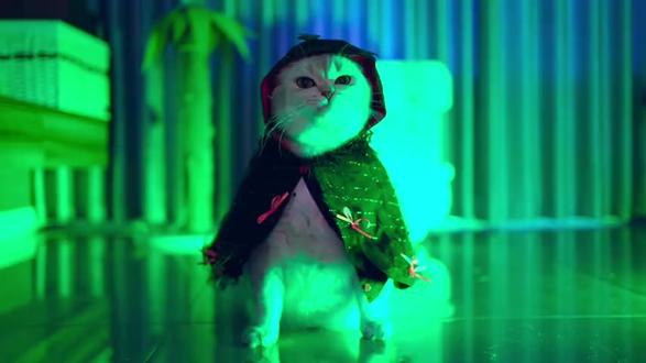 10分钟引导冥想,放松助眠的纯音乐,轻松入睡