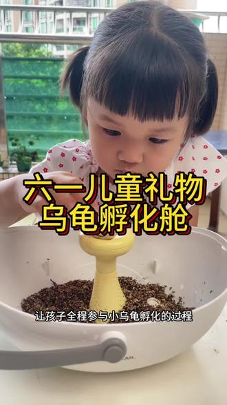 这个六一带着孩子探索乌龟的孵化 好神奇!放学回家电视也不看了就爱蹲着要看乌龟蛋的孵化过程#六一儿童节礼物 #儿童节 #乌龟孵化仓 #乌龟 #乌龟孵化