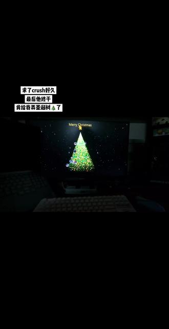 我的专属🎄.#圣诞树 #程序代码 #求了crush好久