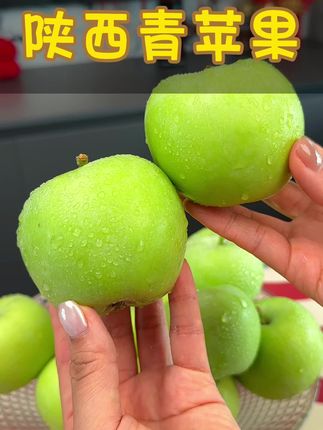 今天头茬青苹果 特别脆,口感酸甜一口爆汁 一定要给家人尝尝这应季的好水果#新鲜采摘 #青苹果 #脆甜多汁 #苹果