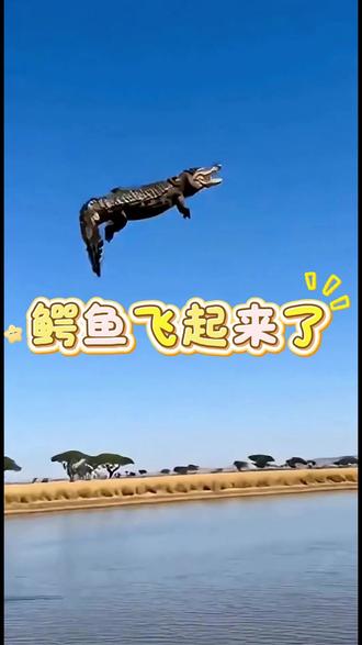 鳄鱼飞起来了#大象vs鳄鱼 #鳄鱼惨了