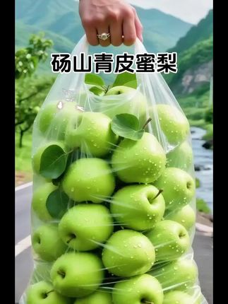 砀山青皮蜜梨,夏日超适合吃的青皮梨,皮薄肉厚汁水足,咬一口水润润的,解腻又解渴,太舒服啦!#农产品#新鲜采摘#梨#应季水果