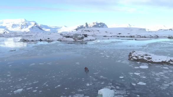 现代诗巜爬上冰块去旅行》#文学作品