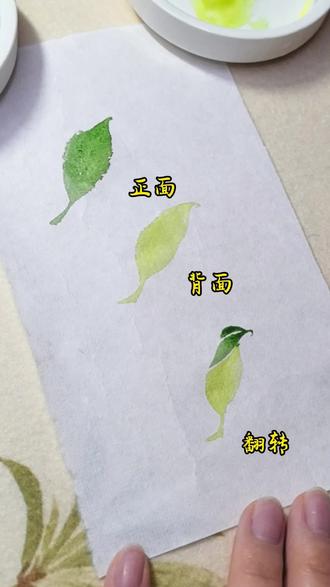 叶子调色方法#国画 #国画教程