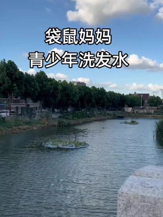#袋鼠妈妈 #洗护好物 #青少年洗发水