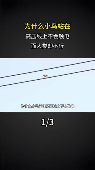 为什么小鸟站在高压线上不会触电,而人类却不行? #大国重器 #大国崛起 #科普