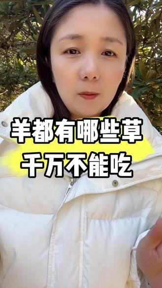 羊都有哪些草千万不能吃#养羊人 #农村养羊 #养羊小妙招