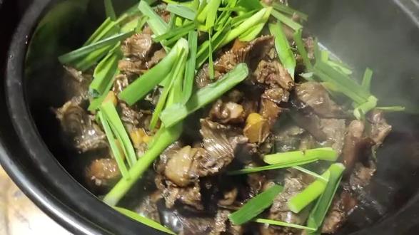 湛江禾草田鼠,对于毛发少而不密的特别有作用
