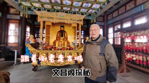 《七律·随谢老访桃花坞》
巷陌深藏文脉长,谢公导引访文昌。
红衣不语防私谒,蓝袖无言镇棘场。
偶对浮图参妙谛,闲听耆旧说沧桑。
登临忽见鳌头立,始信苏州是帝乡。