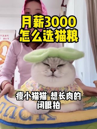 #猫粮推荐 #猫粮测评 #猫粮推荐性价比高排行榜 #养猫新手
