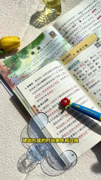 #四年级 下册#语文 每课每单元重点#知识点总结 都在这本#学霸速记 里了,每天读一读,加深基础知识的巩固#小学语数英