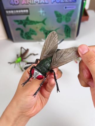 这个立体动物拼图可太逼真了!孩子拼拼插插就能完成,一玩就是一下午#益智玩具 #拼装模型 #手工diy