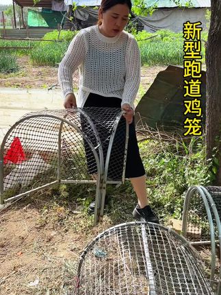 #科学养鸡#隧道式跑道鸡笼#三农养殖
